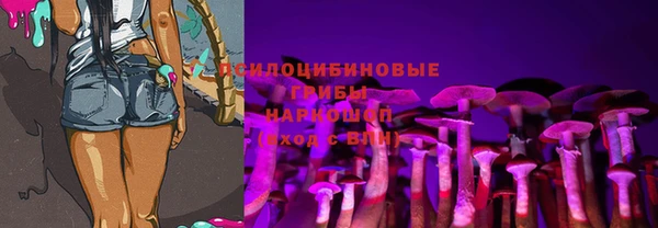Альфа ПВП Беломорск