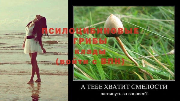 ALPHA PVP Белокуриха